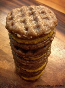 Ginger-Pumpkin-Spice-Sandwich-Cookies11
