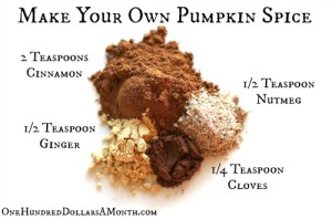 pumpkin-spice-recipe1