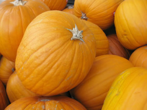 61 pumpkin recipes for thanksgiving