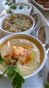 Euriska Pune