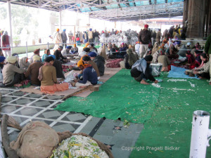 Golden Temple Amritsar