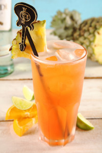 Summer of the Legends Hard Rock Cafe Pune